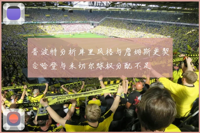 香波特分析库里风格与詹姆斯更契合哈登与米切尔球权分配不足